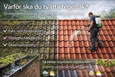 Tak som rengörs från mossa och alger